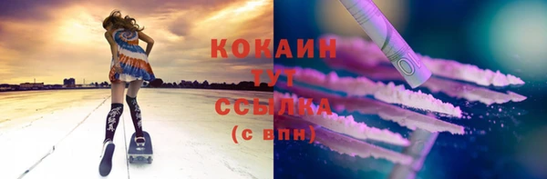 прущий лед Богородицк