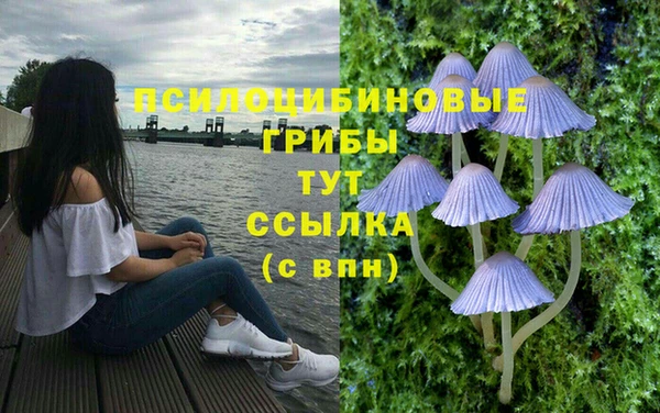 мдма Богородск