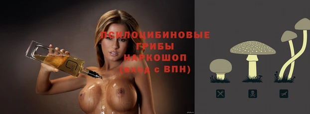 кокаин Богданович