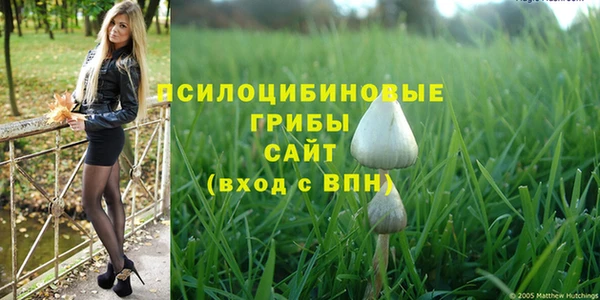 кокаин Богданович
