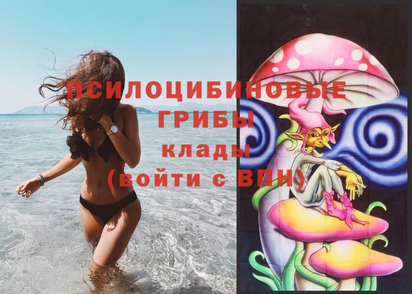 прущий лед Богородицк